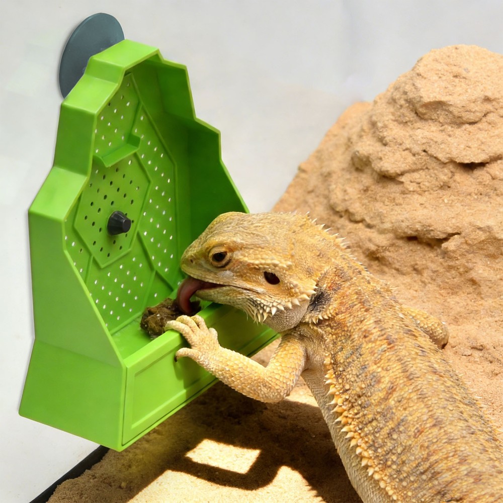 Reptile Feeding Bowl, Feeder for Reptile, Reptile Corner Feeder with Suction Cup