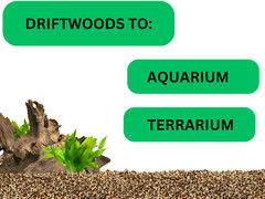 NATURAL MANGROVE DRIFTWOOD #312 WYSIWYG – AQUASCAPING, SUPER PRICE!! DECORATION