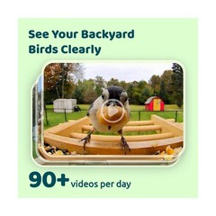 Smart Bird Feeder w/ Camera Solar 2K Live Stream AI Detect Wood