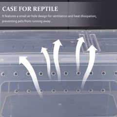 Reptile Cages Transparent PP Gecko Feeding 1Pcs 10.2X5.9X4.3In