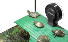 Reptile Turtle Basking Resting Terrace Baby Tortoise ClimbRamp Aquarium Platform