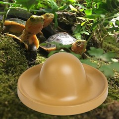 Reptile Feeding Dish Tortoise Food Dish for Bearded Dragon Tortoise