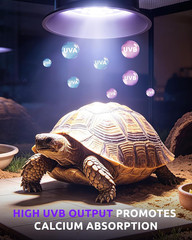 UVB UVA Light for Reptiles, Reptile LED Light Fixture with Timer & Dimming | for
