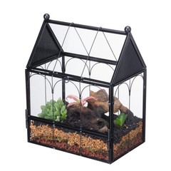 NCYP Small Glass Terrarium Enclosure with Mesh for Jumping Spiders, Micro Hou…