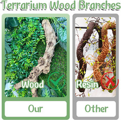 Reptile Branch Decor 2 Pcs Snake Climbing Wood Branches Lizard Habitat Decoratio