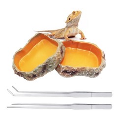Reptile Growth Bowl Set Food Dish Water Bowl Terrarium Feeder