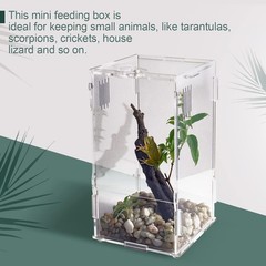 Acrylic Reptile Mini Tank 4x4x8 Sturdy Terrarium for Tarantula Isopod Inverte…