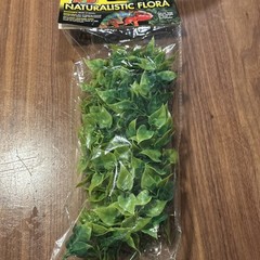 Zoo Med Naturalistic Flora Terrarium Plant with Suction Cups
