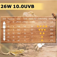 UVB 10.0 Reptile Light 26W, Compact Coil Desert Bulb for Bearded Dragons, Liz…