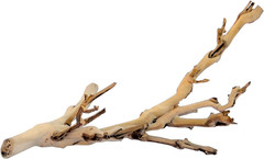 Forest Branch Small – Natural Wood Terrarium Decoration for Reptiles, Amphibians