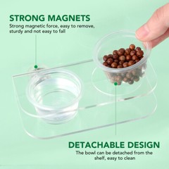 Suction Cup Feeding Bowl Reptile Gecko Ledge Magnetic Dish & Water