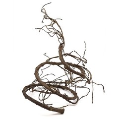 Pangea Reptile Ultimate Vine for Terrarium Habitat (Brown) Brown