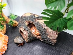 Resin Simulation Tree Hideout Reptile Tank Accessories Hermit Crab Climbing Toy