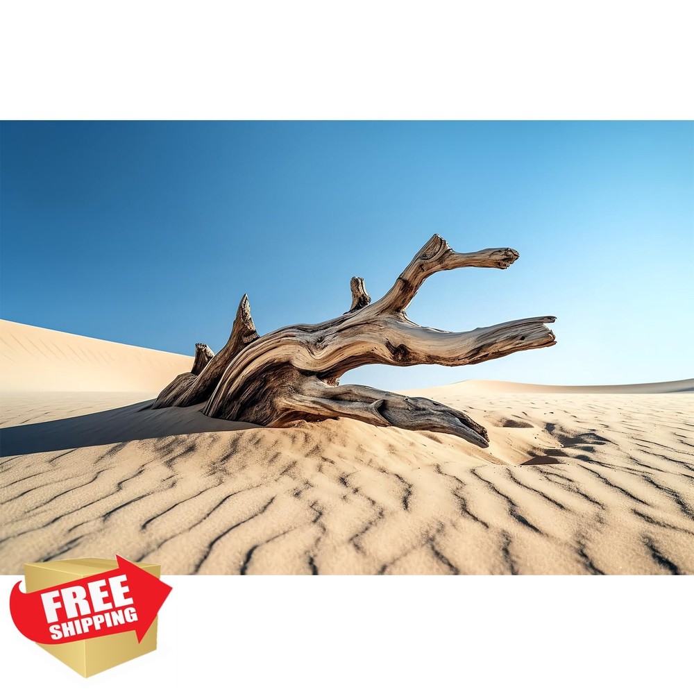 Reptile Tank Background Desert Scenery Terrarium Backdrop 24x12in