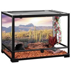 AWERT Reptile Habitat Background Blue Sky Oasis Mountain Cactus Sun and Deser…