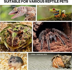 Acrylic Jumping Spider Enclosure – Insect Terrarium for Spiders, Mantises, Ta…