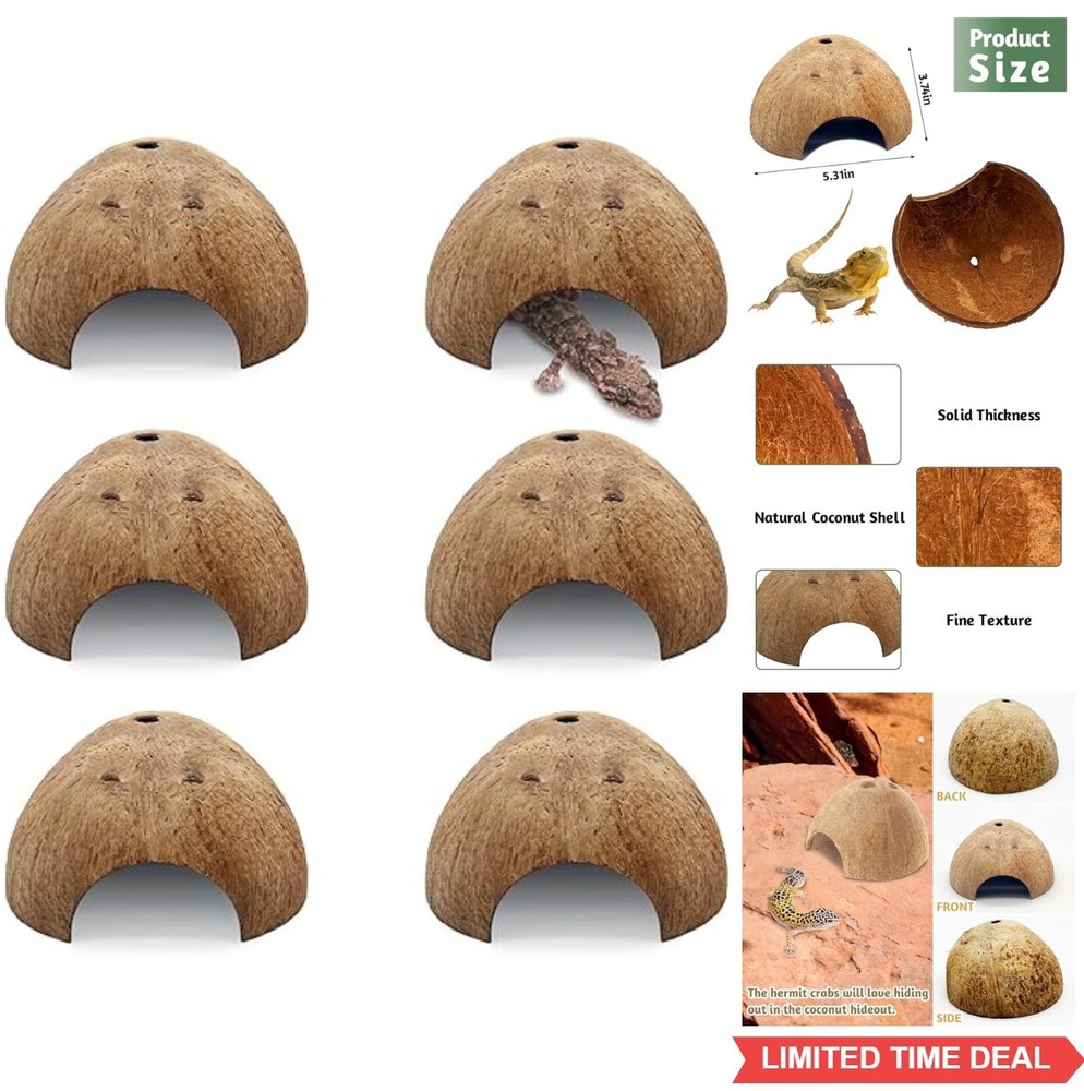 Natural Coconut Reptile Hideouts 6 Pcs Hermit Crab Lizard Spider Hide Cave