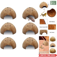Natural Coconut Reptile Hideouts 6 Pcs Hermit Crab Lizard Spider Hide Cave