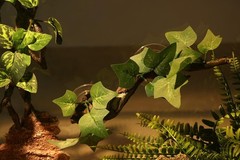 Durable Resin Reptile Corner Decoration with Suction Cups for Climbing Fun