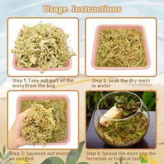Riare 2.2LB Natural Sphagnum Moss for Reptiles- 50QT Reptile Substrate Moss f…