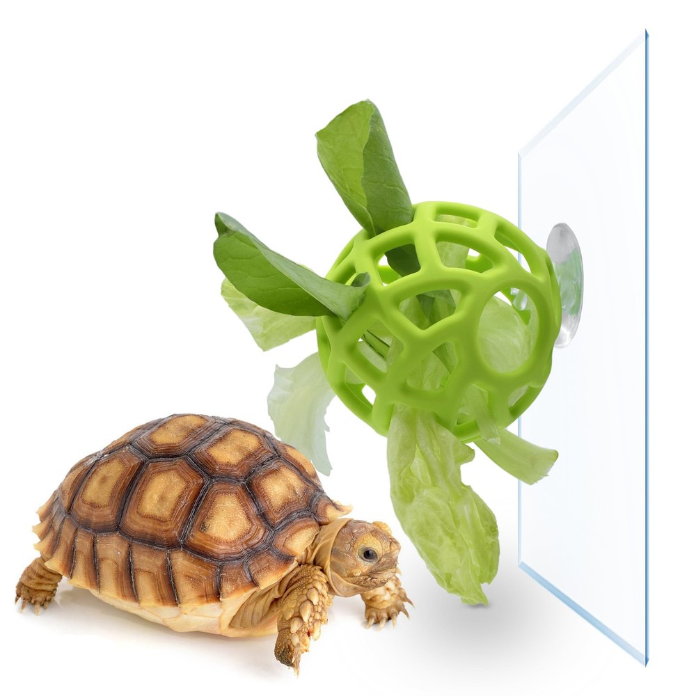 Turtle Feeding with Suction Cup, Silicone Foraging , Interactive Turtle Tank …
