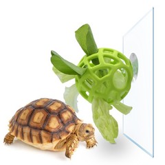 Turtle Feeding with Suction Cup, Silicone Foraging , Interactive Turtle Tank …