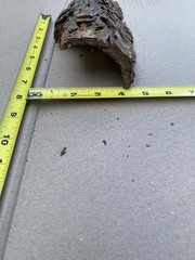 Reptile Terrarium Basking Climb and Shelter- Real Bark set of 2