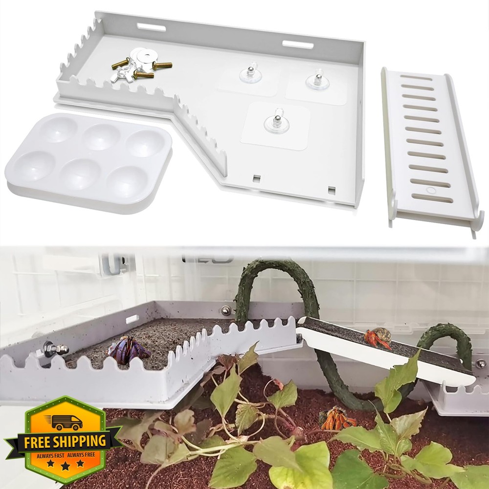Anranmm Hermit Crab Accessories White
