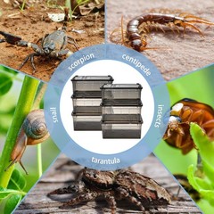 6pcs reptile Plastic Terrarium, Transport Container for Lizards, Geckos and more
