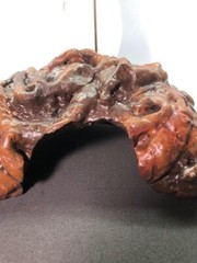 Arboreal Attitudes Small Weighted Ground Hides For Terrariums And Cages