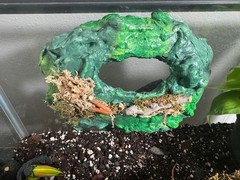Multi use Magnetic Hides For Terrariums And Cages