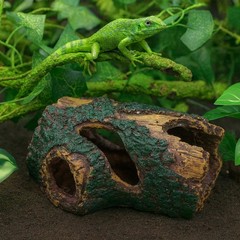 13 PCS Reptile Reptile Eco Bottle Decoration Set – vines, eco bottle plants, …