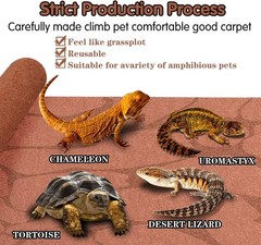 Versatile Reptile Carpet 2-Pack – Ideal for Snakes, Lizards & Turtles