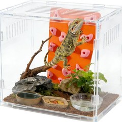 Okueejur Mini Reptile Rock Climbing Wall, Terrarium Enclosure Orange & Pink