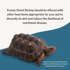 Freeze Dried River Shrimp, Nutrient-Packed, Ideal for Lizards, Reptiles, Birds,