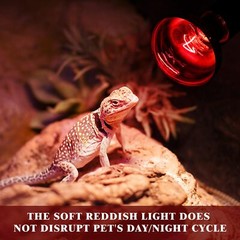 Reptile Red Heat Lamp Bulb – 100W Infrared Basking Spot Light