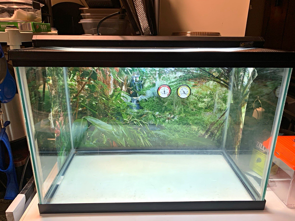 20 gallon terrarium with accessories