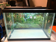 20 gallon terrarium with accessories
