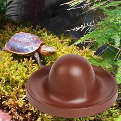 Reptile Feeding Dish Tortoise Food Dish for Bearded Dragon Tortoise