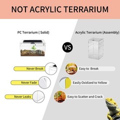 Mini Reptile Terrarium Set,12″ x 7″x 6″ Low 12″ x 6″, Transparent