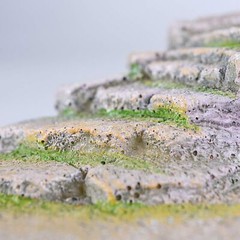 PENN-PLAX Reptology Shale Scape Step Ledge & Cave Hideout – Decorative Resin …
