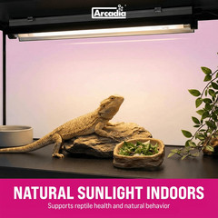 T5 UVB Reptile Light Fixture Kit 36″ Long 39 Watts 14% UVB Dragon – Complete UVB