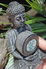 Buddha Hygrometer Statue, Temperature & Humidity, Pet Enclosure, Zen Decor, 5.5″