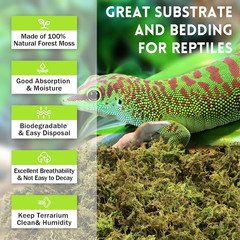1.3LB Premium Sphagnum Moss for Reptiles- 50QT Natural Live Moss Reptile Moss Be