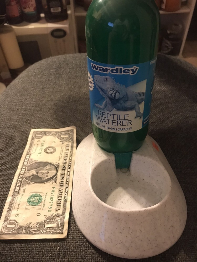 REPTILE WATERER