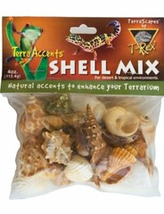 T-Rex Reptile Terrarium Décor – Terra Accents Shell Mix