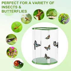 Outdoor Butterfly Habitat Cage Terrarium [White with Green, 12 x 12 x 16 Inch]