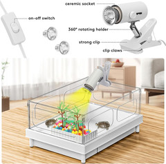 Small Turtle Tank Kit with Light and Filter for Baby Turtles | White Clear-Panel
