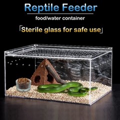 6 Pcs Glass Reptile Feeding Bowl Food Basin Tray Container Water Dish Cup for…