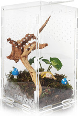 Small Acrylic Terrarium 4.7×4.7×7.8 inch, Transparent Reptile Enclosure Habitat
